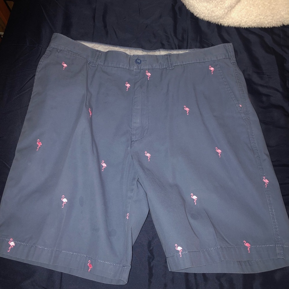 Flamingo shorts